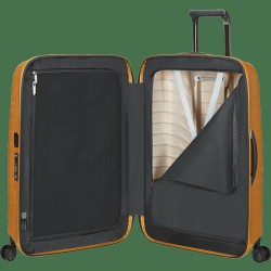 Trolley Medio Proxis 69cm Honey Gold